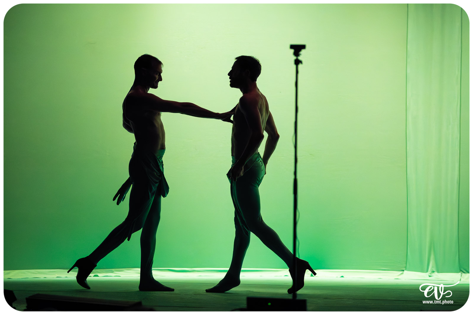 DYSTOPIA (UN POYO ROYO)